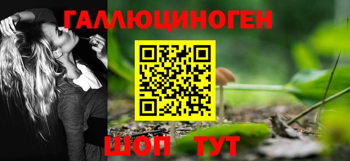 Хасавюрт  Галлюциногенные грибы Cubensis  Псилоцибиновые грибы ЛСД  Вход с VPN 